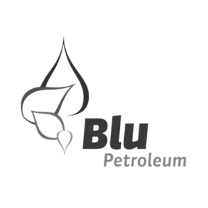 Blu logo knocked out