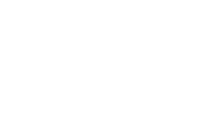 Acclarity Case Study Diagram