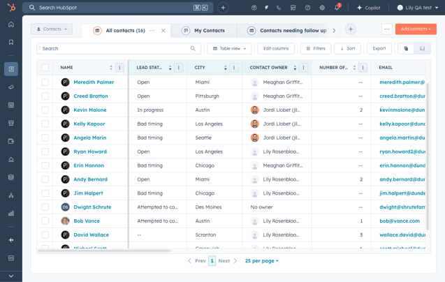 flexible crm views